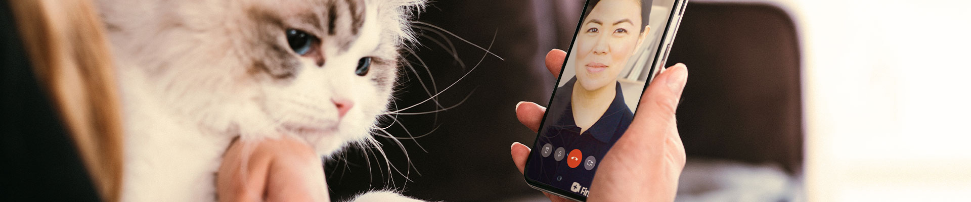 kattägare får rådgivning av veterinär via mobilen