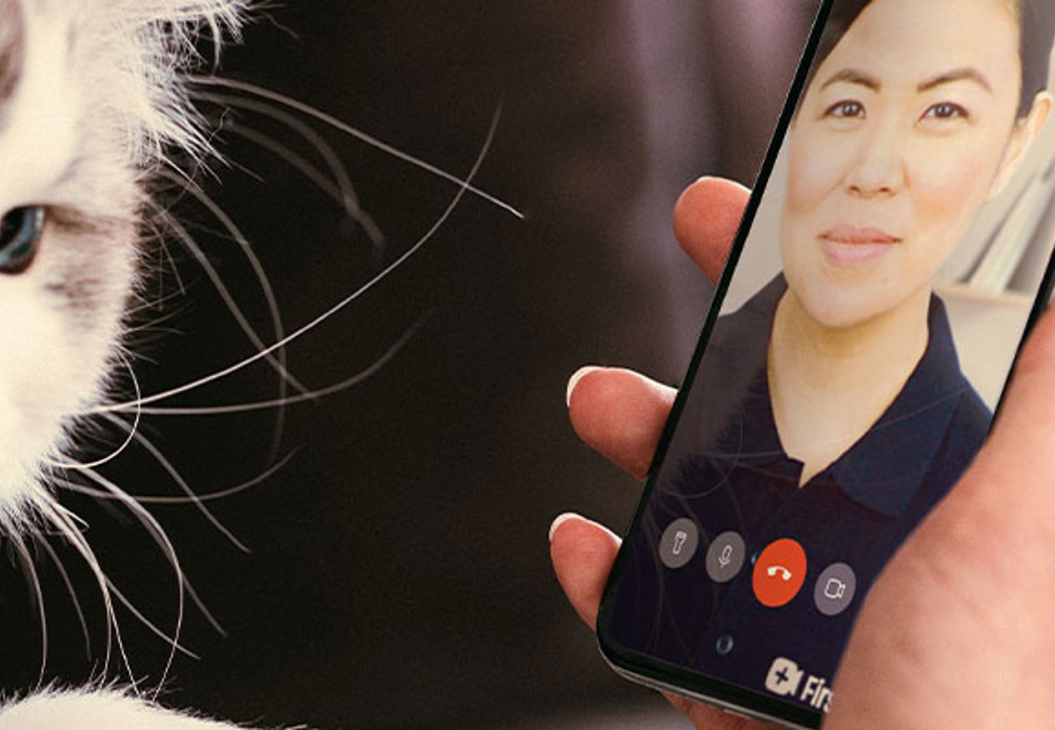 kattägare får rådgivning av veterinär via mobilen