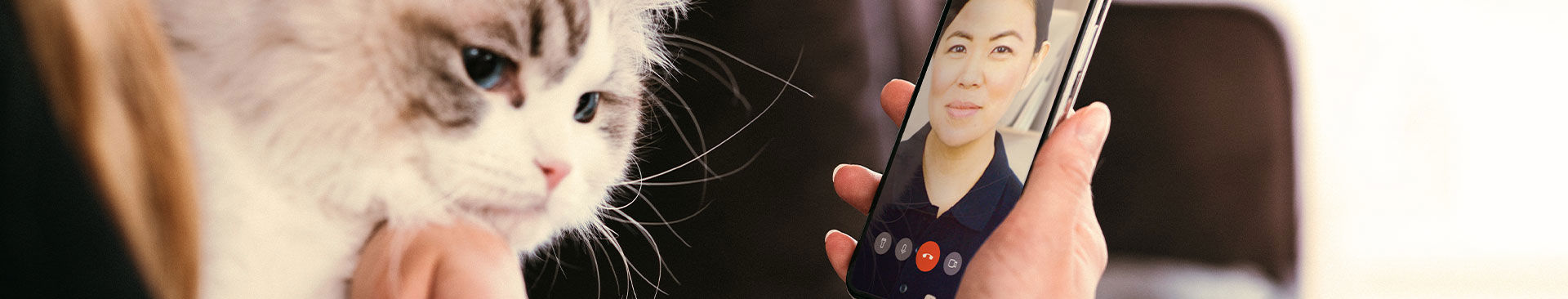 kattägare får rådgivning av veterinär via mobilen