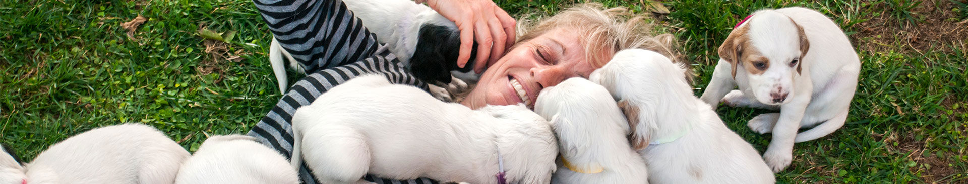 kvinna leker med en grupp valpar